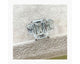 SIVAN - Emerald Cut 6.80 Carat Diamond Engagement Ring