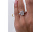 Giana - Cushion Cut 3.65 Carat Diamond Engagement Ring