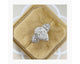 CHEREEN - Pear Cut 3.11 Carat Diamond Engagement Ring