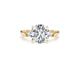 Josie - Round Cut 3.14 Carat Diamond Engagement Ring