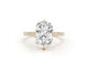 Goldie - Cushion Cut 4.35 Carat Diamond Engagement Ring