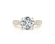 Nina - Round Cut 4.50 Carat Diamond Engagement Ring