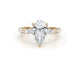 erin - Pear Cut 3.50 Carat Diamond Engagement Ring