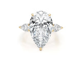 nika - Pear Cut 11 Carat Diamond