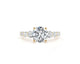 Eliza - Round Cut 3 Carat Diamond