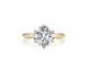 Daisy - Round Cut 2 Carat Diamond Engagement Ring