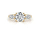 Mishel - Round Cut 3.35 Carat Diamond