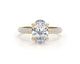 Anselma Engagement Ring 3.22 Carat White Gold