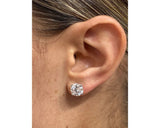 BR Stud Earrings-W - Round Cut 4 Carat Diamond