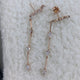 Diamond Drop Earrings 1.4 ct Rose Gold