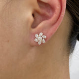 Diamond Stud Earrings 2 ct Rose Gold