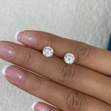 Solitaire Stud Earrings 3 ct TCW , Solid Gold 14k