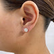Solitaire Stud Earrings 3 ct TCW , Solid Gold 14k