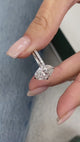 Oakley Bridal Set Rings Set 3.5ct TCW, 14K Gold